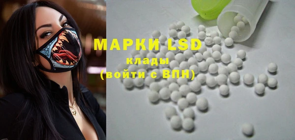 PSILOCYBIN Алзамай